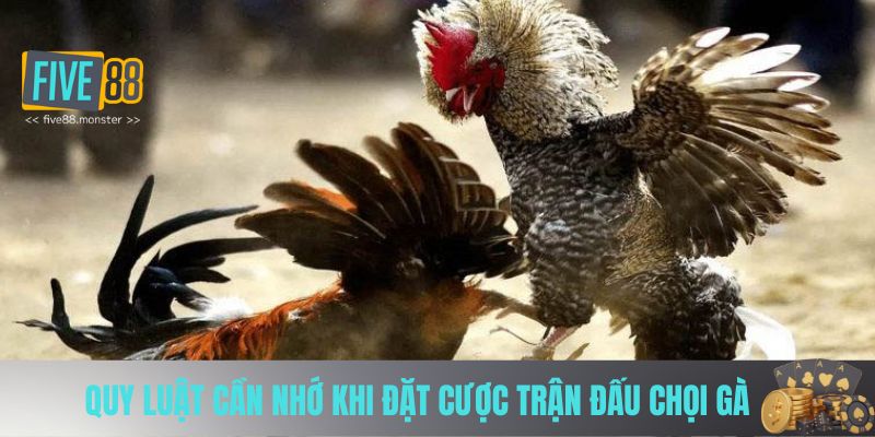 Quy luật cần nhớ khi đặt cược trận đấu chọi gà