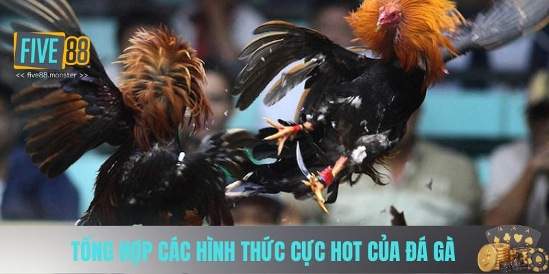 Tổng hợp các hình thức cực hot của đá gà